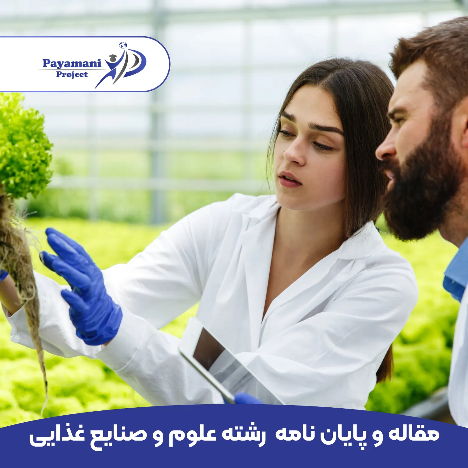 مشاوره و انجام پروژه رشته علوم و صنايع غذایی _ (بهترین قیمت و 100% تضمینی)