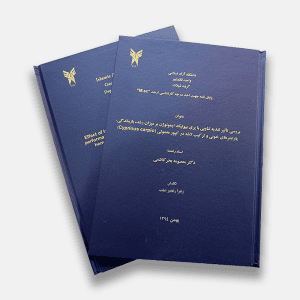 رساله دانشگاهی