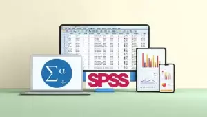 spss on screenn
